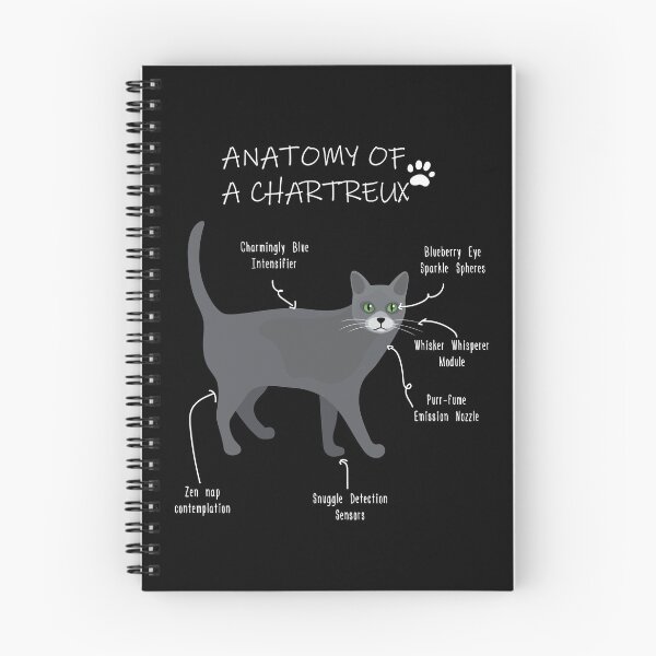 Item preview, Chartreux Anatomy - Funny Chartreux Cat Mom Gift designed and sold by Petensity.