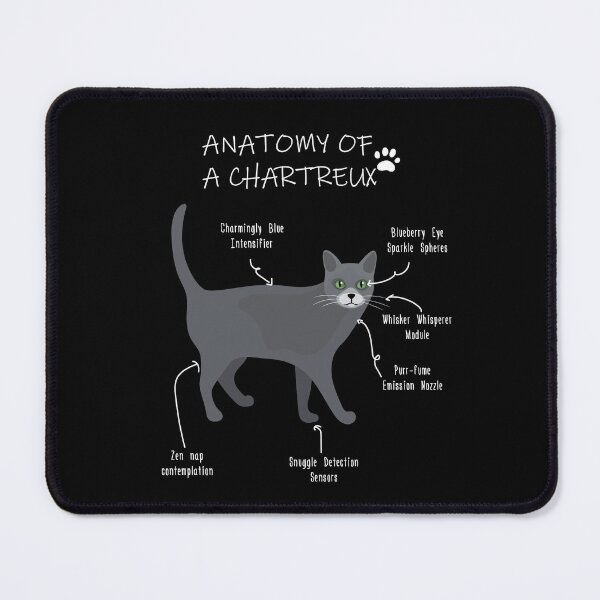 Item preview, Chartreux Anatomy - Funny Chartreux Cat Mom Gift designed and sold by Petensity.