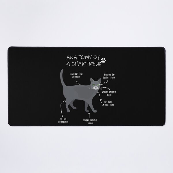 Item preview, Chartreux Anatomy - Funny Chartreux Cat Mom Gift designed and sold by Petensity.
