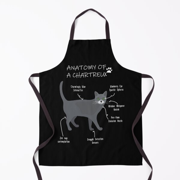 Item preview, Chartreux Anatomy - Funny Chartreux Cat Mom Gift designed and sold by Petensity.