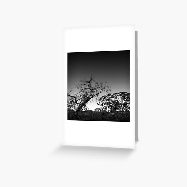 Trees in Flinders-52 Greeting Card