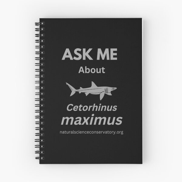 Item preview, Ask Me About Cetorhinus maximus (Basking Shark) designed and sold by Discovered.