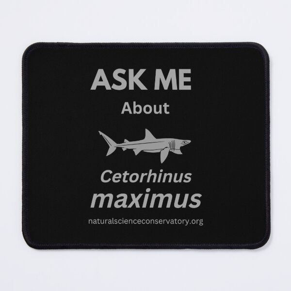 Item preview, Ask Me About Cetorhinus maximus (Basking Shark) designed and sold by Discovered.