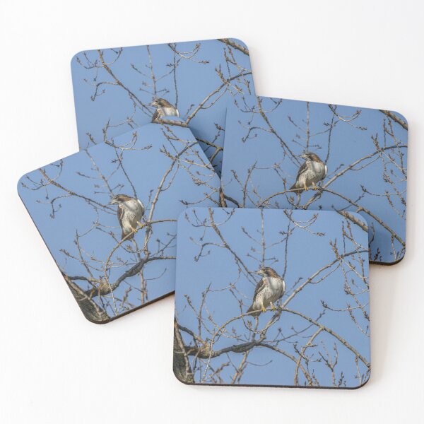 Item preview, Hawk in the Trees designed and sold by SkyeNotions.