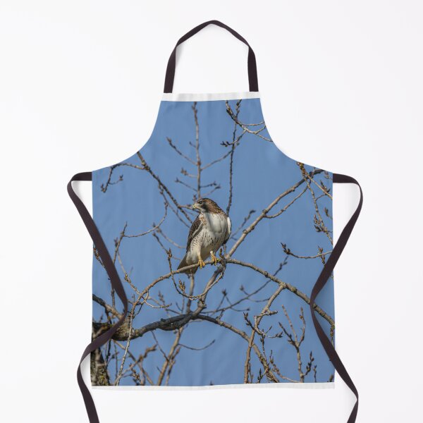 Item preview, Hawk in the Trees designed and sold by SkyeNotions.