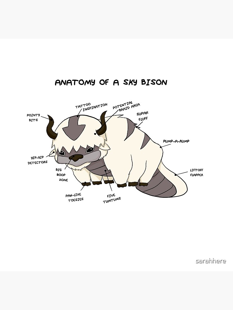 Anatomy of a Sky Bison by sarahhere