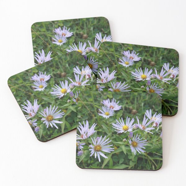 Item preview, Pretty refreshing wild purple daisy flowers designed and sold by naturematters.