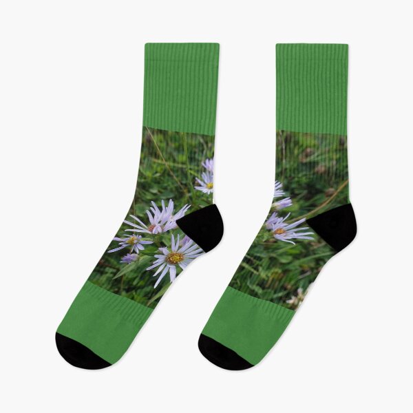 Item preview, Pretty refreshing wild purple daisy flowers designed and sold by naturematters.