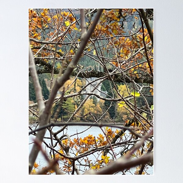 Item preview, Through the Trees designed and sold by shachris.