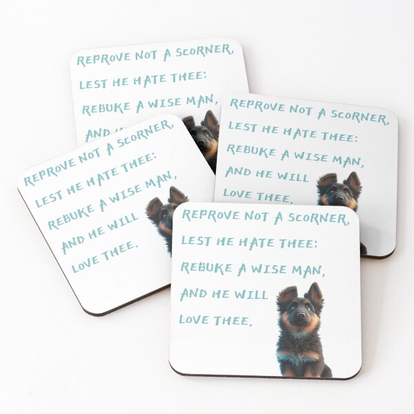 Item preview, Proverbs 9:8 about telling off a wise man designed and sold by ErinShae20.