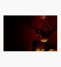 Red's Dead Photographic Print