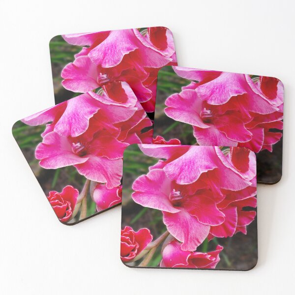 Item preview, Gladiolus designed and sold by Firstbloom.