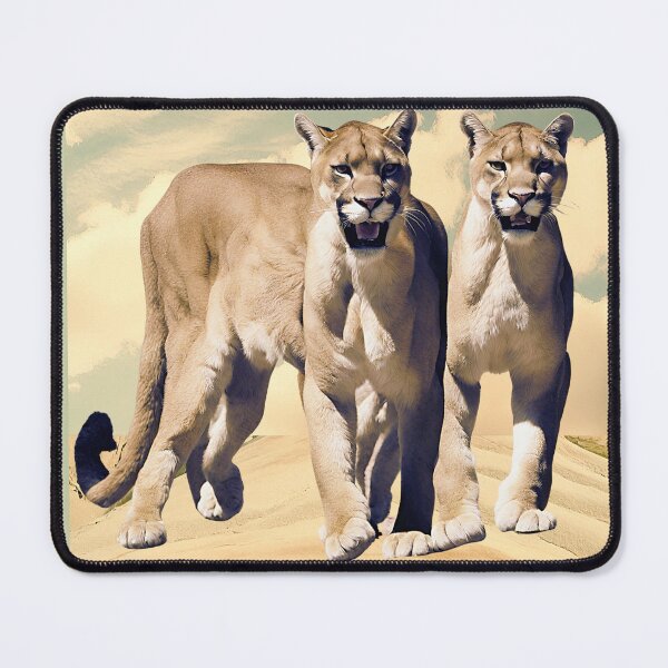 Item preview, Cougars in the Mountain designed and sold by RockyRambobo.