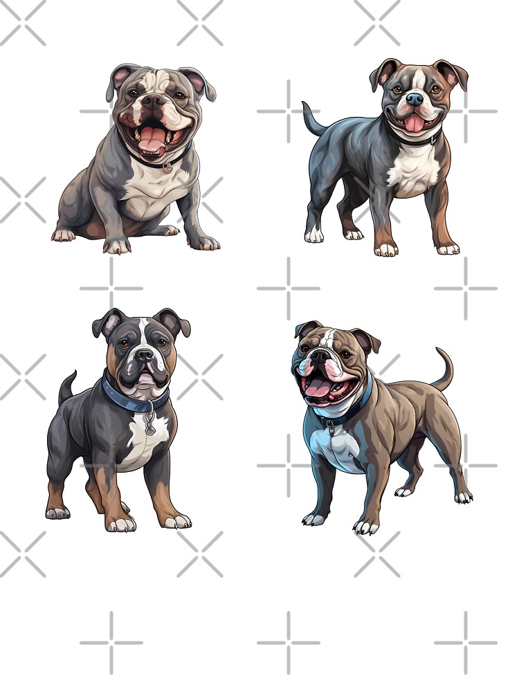American Bully Dogs
