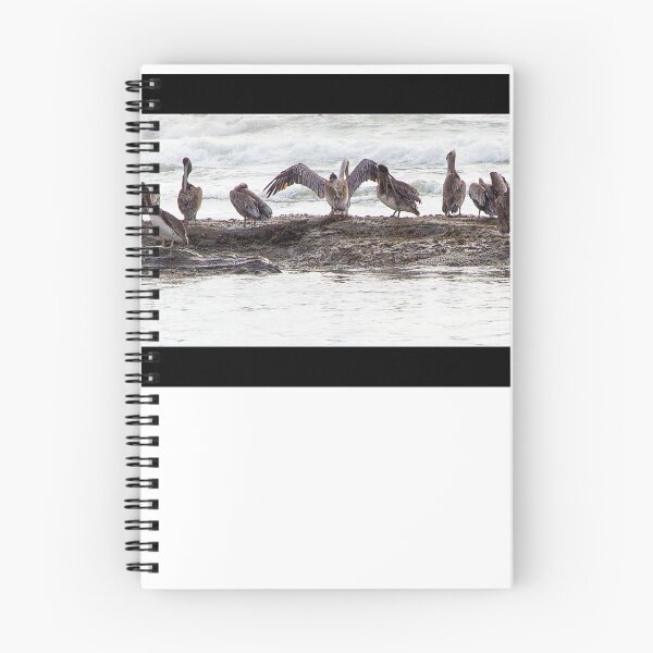 Item preview, Agate Beach Pano designed and sold by photomatte.