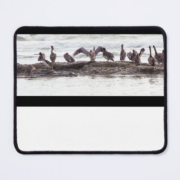 Item preview, Agate Beach Pano designed and sold by photomatte.