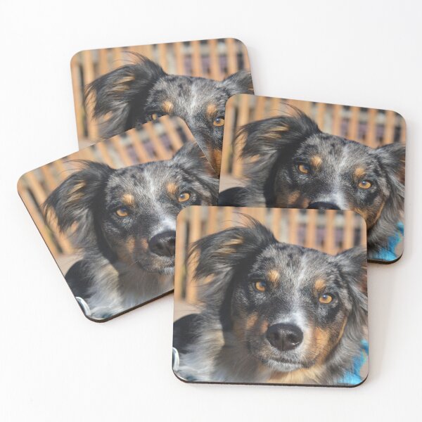 Item preview, Bear The Aussie Dog Photography designed and sold by ThePhotograph03.