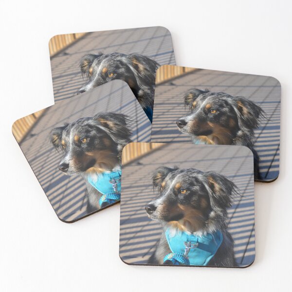 Item preview, Bear The Aussie Dog Photography designed and sold by ThePhotograph03.