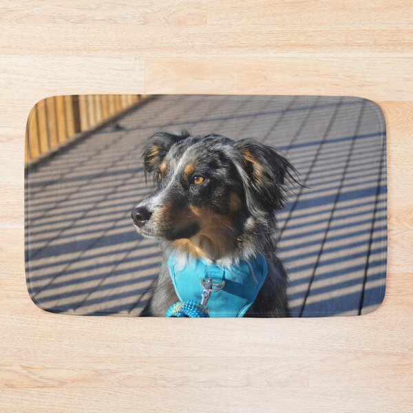 Item preview, Bear The Aussie Dog Photography designed and sold by ThePhotograph03.