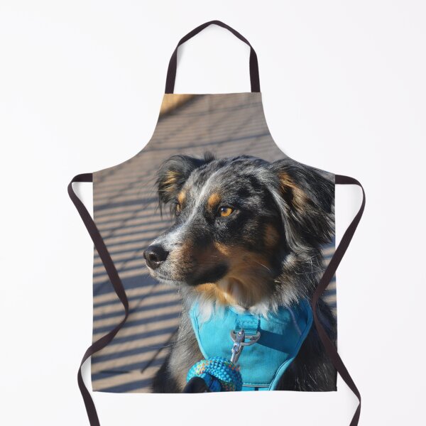 Item preview, Bear The Aussie Dog Photography designed and sold by ThePhotograph03.