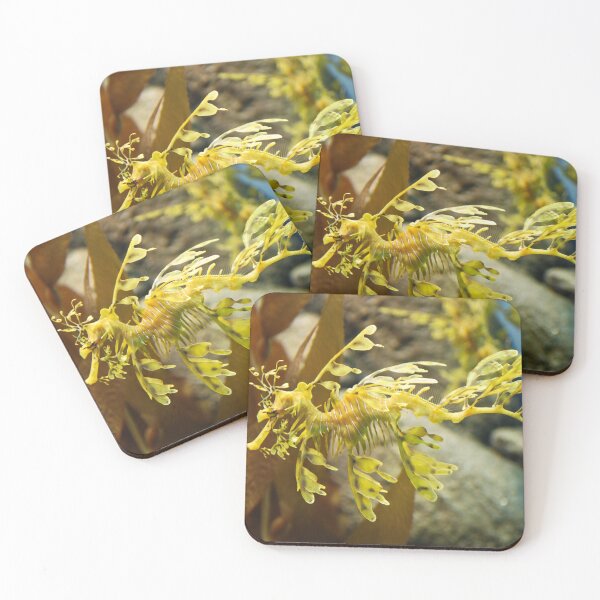 Item preview, Leafy Sea Dragon designed and sold by ShaneKellyPhoto.