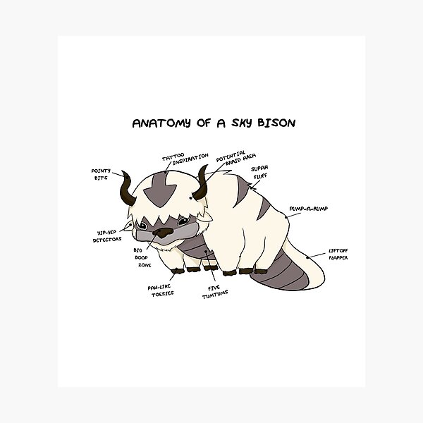 Item preview, Anatomy of a Sky Bison designed and sold by sarahhere.