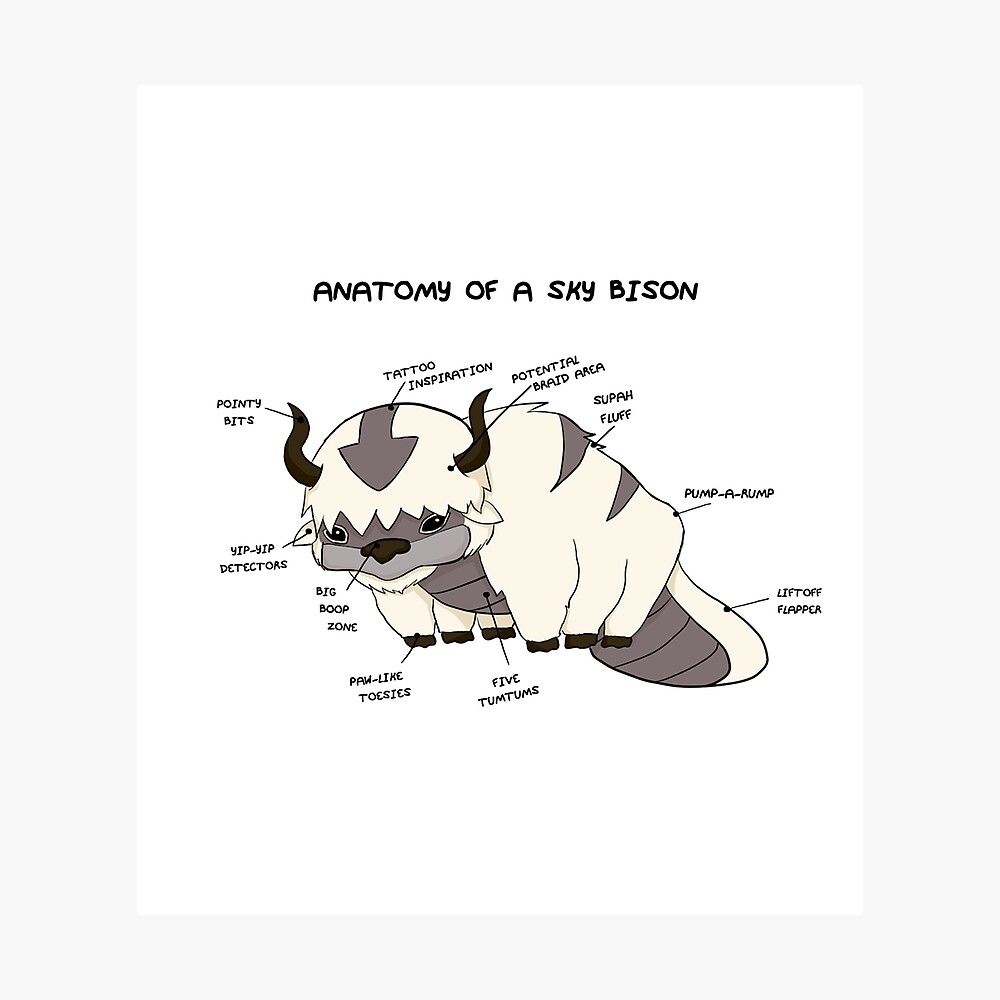 Anatomy of a Sky Bison" Poster by sarahhere | Redbubble