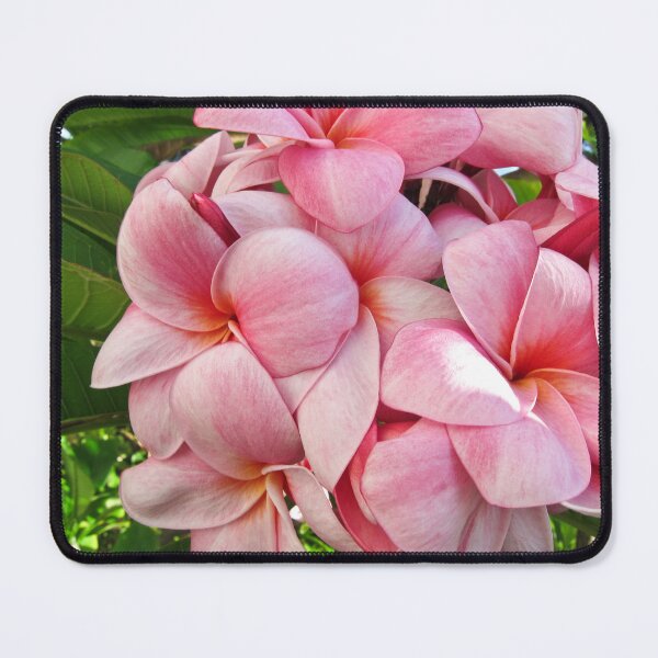 Item preview, Pink Plumerias designed and sold by ShaneKellyPhoto.