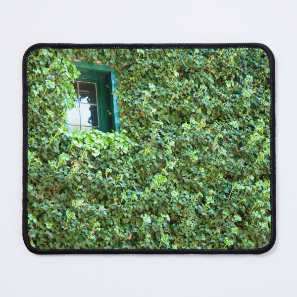 Item preview, Napa Wine Cellar Window designed and sold by ShaneKellyPhoto.