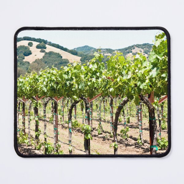 Item preview, Napa Vineyard Grapes designed and sold by ShaneKellyPhoto.