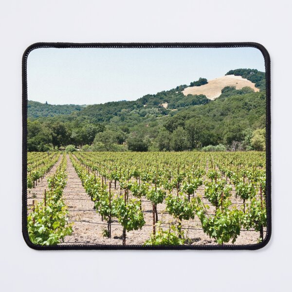 Item preview, Napa Vineyard with Hills designed and sold by ShaneKellyPhoto.