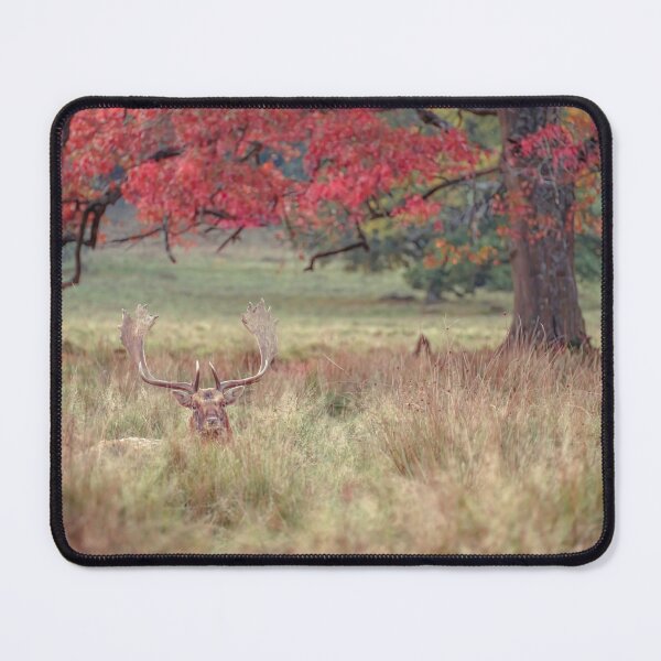 Item preview, Stag in a field designed and sold by assaf.