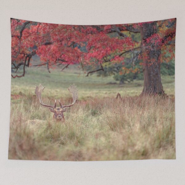 Item preview, Stag in a field designed and sold by assaf.