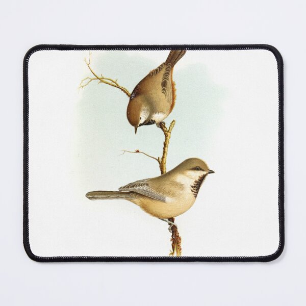 Item preview, Two Boreal Chickadee Parus Hudsonicus Birds of Alaska Vintage Watercolor Birdwatching Gift designed and sold by ElegantTeaTime.