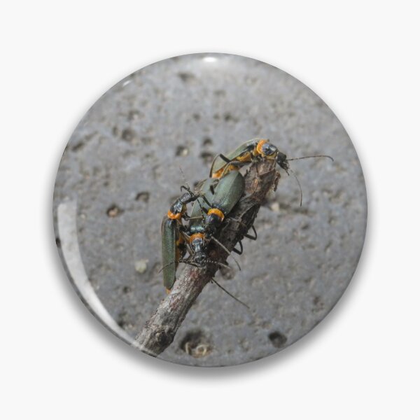 Item preview, A cluster of plague soldier beetles designed and sold by greentiger1.