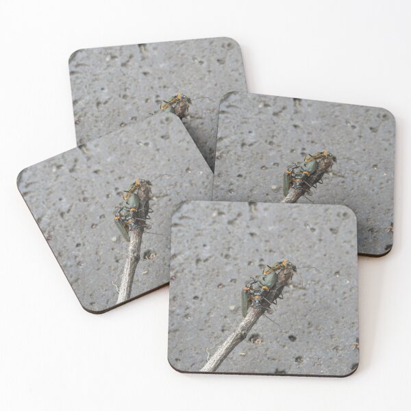 Item preview, A cluster of plague soldier beetles designed and sold by greentiger1.