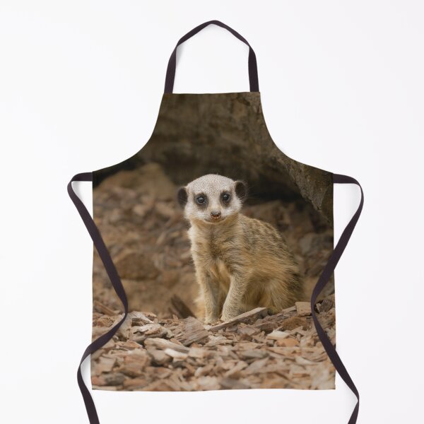 Item preview, Baby Meerkat's Precious Pose designed and sold by rawshutterbug.