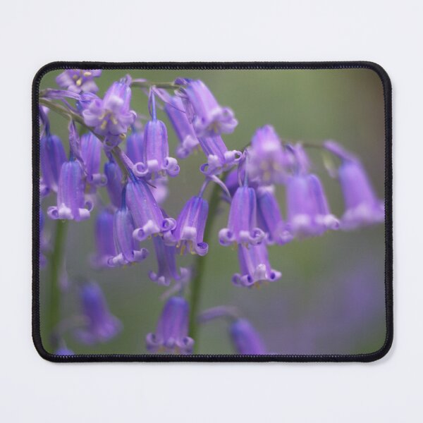 Item preview, Bluebell Flowers designed and sold by Alisonchambers2.