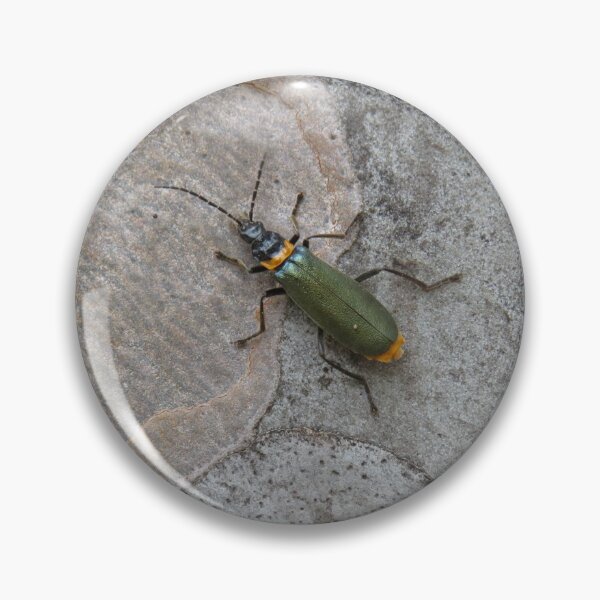 Item preview, A plague soldier beetle on a gumtree designed and sold by greentiger1.