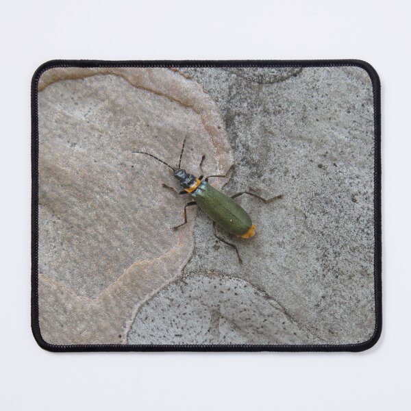Item preview, A plague soldier beetle on a gumtree designed and sold by greentiger1.