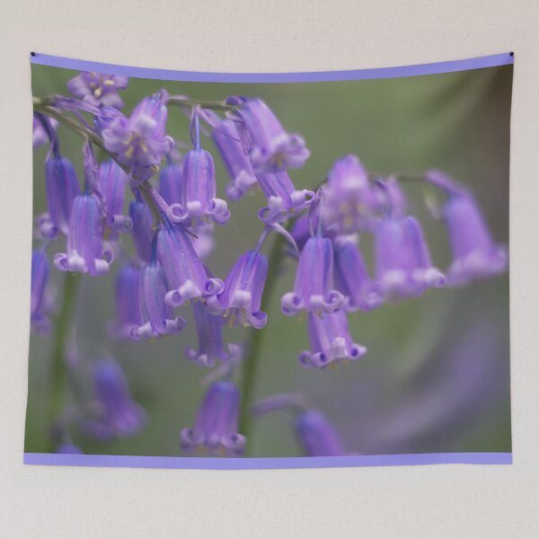 Item preview, Bluebell Flowers designed and sold by Alisonchambers2.