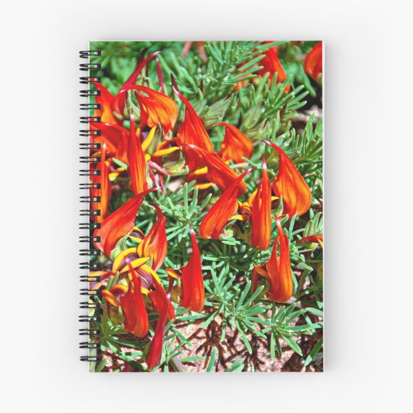 Item preview, WP Floral Study 6 2014 designed and sold by Robert Meyers-Lussier.