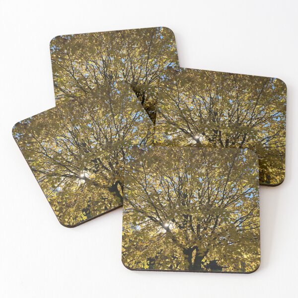 Item preview, Sun Shining Through Autumnal Leaves designed and sold by Sinemathk.