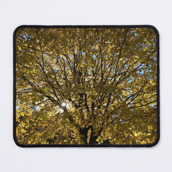 Item preview, Sun Shining Through Autumnal Leaves designed and sold by Sinemathk.