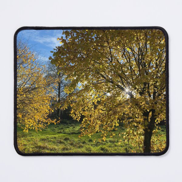 Item preview, Panorama of Autumnal Yellow Leaved Trees designed and sold by Sinemathk.