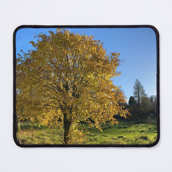 Item preview, Autumnal Tree of Yellow Leaves designed and sold by Sinemathk.