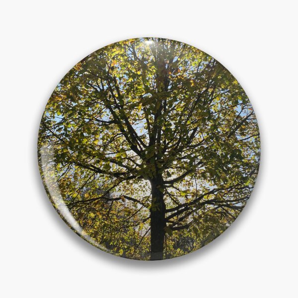 Item preview, Backlit Autumnal Tree designed and sold by Sinemathk.