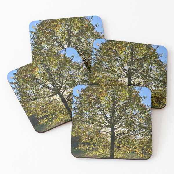 Item preview, Backlit Autumnal Tree designed and sold by Sinemathk.