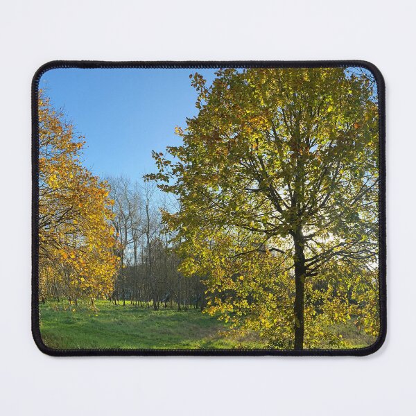 Item preview, Panorama of Autumnal Yellow Leaved Trees designed and sold by Sinemathk.
