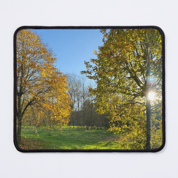 Item preview, Panorama of Autumnal Yellow Leaved Trees designed and sold by Sinemathk.